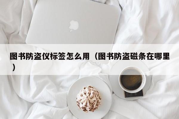 圖書防盜儀標(biāo)簽怎么用（圖書防盜磁條在哪里 ）